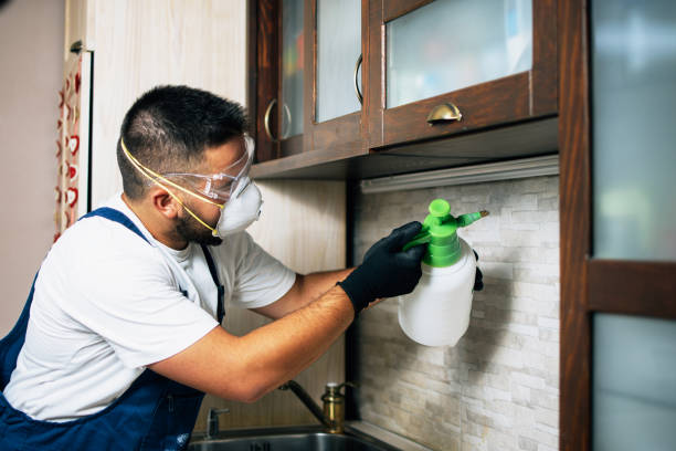 Best Cockroach Control Services  in Greenville, VA