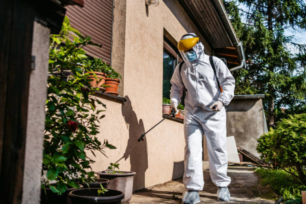 Best Pest Control Near Me in Greenville, VA