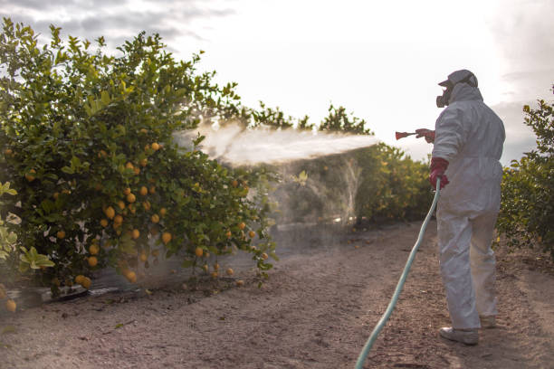 Best Affordable Pest Control Services  in Greenville, VA