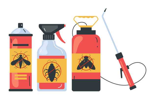 Wasp Removal Services in Greenville, VA