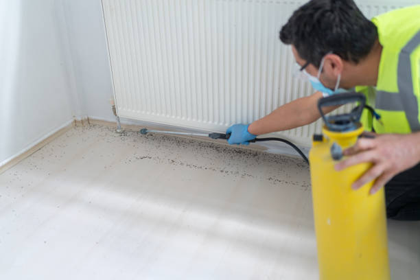Best Pest Prevention Services  in Greenville, VA