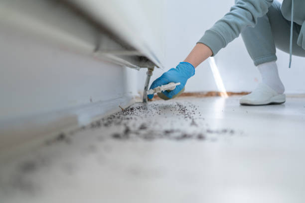 Best Rodent Control Near Me  in Greenville, VA