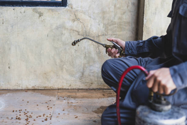 Best Best Pest Control Companies  in Greenville, VA